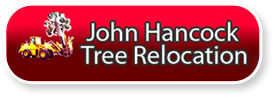 John handcock Tree Location